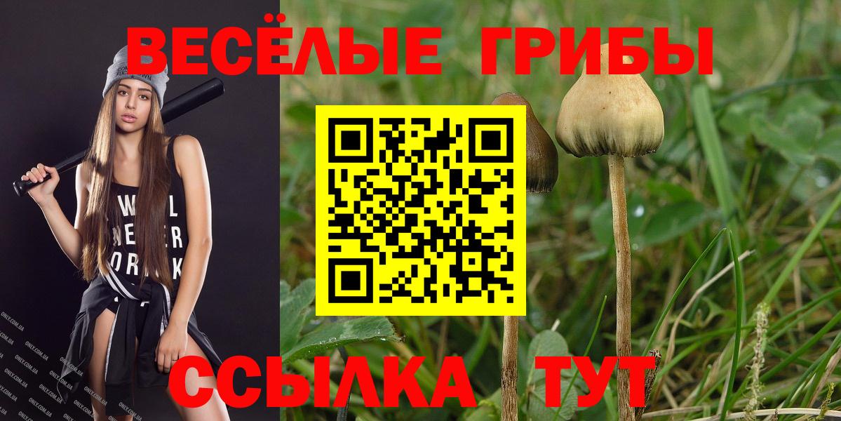 Псилоцибиновые грибы мухоморы  Вход с VPN  Нижнекамск 